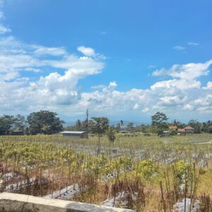 Aulion Instagram - ⭐️Pulang Kampung ⭐️ Kalo udah di Temanggung, siapa yang mau pulang? Udah adem, asri, bikin lupa waktu. Gak cuma dingin, tapi hangatnya sambutan orang-orangnya.

Ternyata banyak banget yang bisa dieksplor yah, kayaknya kemarin baru 5% dari Temanggung deh 🤣 berarti next time harus lebih keliling-keliling ya buar nikmatin Temanggung sepenuhnya~ Lagipula saat ini fokusnya ketemu keluarga aja sih, bahkan sempet jaga toko! Jadi gak sabar buat planning jalan-jalan lagi di sini. Ada yang orang Temanggung? Ada rekomendasi gak?