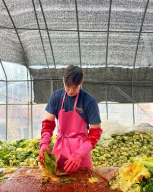 Austin Kang Instagram - my 4th annual 김장 🥬 @ojinajeju