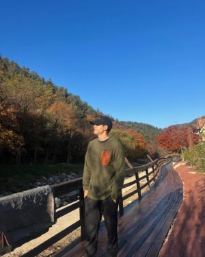 Austin Kang Instagram - my 4th annual 김장 🥬 @ojinajeju