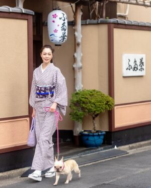 Ayako Kawahara Instagram - #tokyo #kimono #frenchbulldog #向島 #散歩  #フレブル #着物 #日常着物