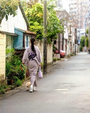 Ayako Kawahara Instagram - #tokyo #kimono #frenchbulldog #向島 #散歩  #フレブル #着物 #日常着物