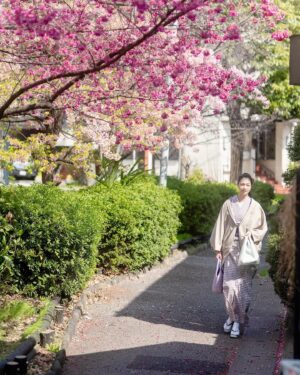 Ayako Kawahara Instagram - #mochi #sakura tokyo #kimono #河津桜 #桜餅 #着物 #日常着物