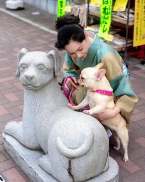 Ayako Kawahara Instagram - 成田界隈
#narita #chiba #temple #restaurant #frenchbulldog #kimono #成田市 #フレンチブルドッグ #フレブル #着物 #日常着物