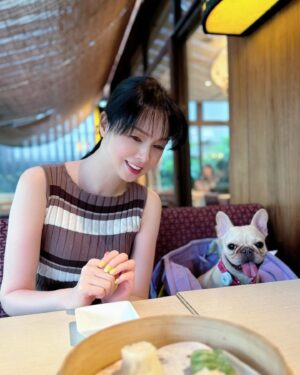 Ayako Kawahara Instagram - 選挙へ行きました
#tokyo #frenchbulldog #フレブル #化粧品 #brilliage