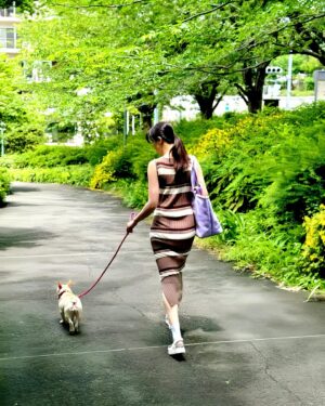Ayako Kawahara Instagram - 選挙へ行きました
#tokyo #frenchbulldog #フレブル #化粧品 #brilliage