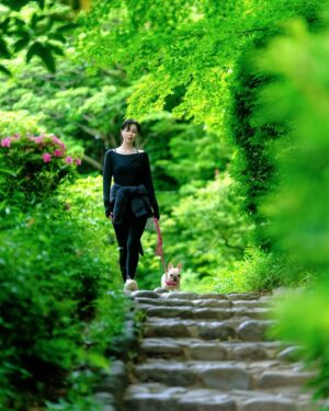 Ayako Kawahara Instagram - 紅花栄
#tokyo #frenchbulldog #flawer #kimono #美容 #着物 #フレブル