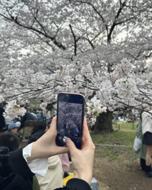 Ayane Takahashi Instagram - 🌸🌸🌸