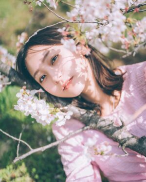Ayano Kudo Instagram - Cherry blossoms🌸