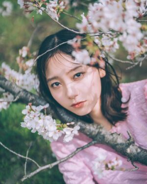 Ayano Kudo Instagram - Cherry blossoms🌸