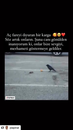 Ayça Mutlugil Instagram - 