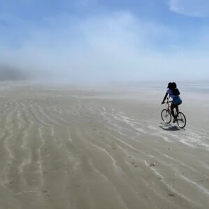 Ayisha Issa Instagram - Mercury Riding☄️
.
.
.
.
.
.
.
.
.
.
.
#travel #bicycle #longbeach #tofino #ucuelet #Canada #getoutside #womenwhowonder #fog #dogmom #bicycletrip #bicycletravel #summer #beach #hisPOV #vancouver #vancouverisland #roadtrip