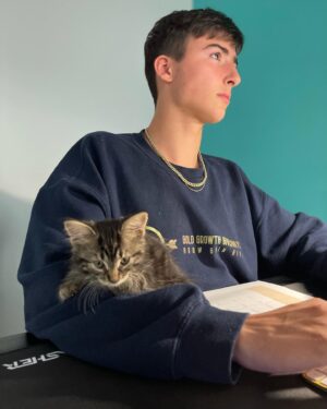 Aymeric Jett Montaz Instagram - This is the new member of @goldgrowthgiveaways 

NO, HE IS NOT THE GIVE AWAY PRIZE!😂🤪

It’s pretty hard to concentrate when the cat sits on your papers but at least he’s cute, right? 😂 

We didn’t name it yet… 
give us some ideas in the comments! 

Love you guys! #ggg #giveaways #cats #millionnaire