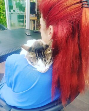 Ayşenur Yazıcı Instagram - Parmağım ağrırken Havuzbaşında  geldi kucağıma çıktı. Bana sarıldı. Nasıl ağladım sevinçten. Kedicik bana iyi geldin🐱 teşekkür ederim...