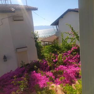 Ayşenur Yazıcı Instagram - "Benim hiç gönlümü almadılar Ben hep kendi kendime bir köşede affettim herkesi.” Nilgun Marmara