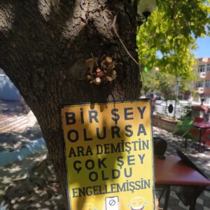Ayşenur Yazıcı Instagram - Kırkağaç'ta genelde öğrencilerin geldiği çay bahçesinden ☺️☺️☺️
