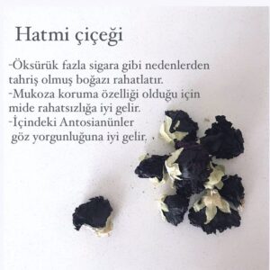 Ayumi Takano Instagram - Tarifi fotoğrafları kaydırarak okuyabilirsiniz 👈
Hatmi çiçeği çayının rengini çok severim hem de çok faydalı özellikleri var 😊
-Öksürük fazla sigara gibi nedenlerden tahriş olmuş boğazı rahatlatır. 
-Mukoza koruma özelliği olduğu için mide rahatsızlığa iyi gelir.
-İçindeki Antosianinler
 göz yorgunluğuna iyi gelir.
‘Grip olmak istemiyorum ama galiba geliyor boğazım kaşınıyor’ dediğim zaman hemen bu çayı yapıyorum C vitamini takviyesi olarak limonu eklediği zaman çayın pembe rengine dönüşmesi de hoşuma gidiyor 🌸
Aktarlardan kolayca bulabilirsiniz. 
Şifa olsun🌿
#bluemallowtea #şifalıbitkiler #bitkiçayı #sağlıklıtarifler #çaykeyfi #sağlıklıyaşam