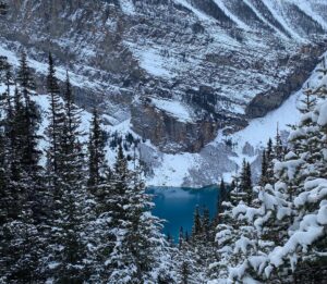 Azita Ghanizada Instagram - BANFF ❄️🪄

Magical winter wonderland ❄️
Icy lakes 🤍 snow hikes ✨hot springs 🌊 more snow ❄️ epic nature🗻stunning heritage hotel, snow doggy, dreamy dream dreams photo stream. 

#lakelouise #banff #geataway #fairmontbanffsprings #travel #snow #birthday