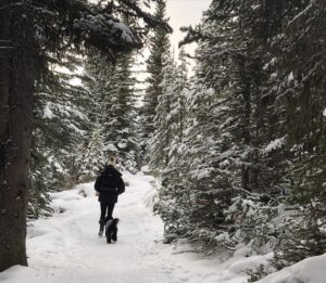 Azita Ghanizada Instagram - BANFF ❄️🪄

Magical winter wonderland ❄️
Icy lakes 🤍 snow hikes ✨hot springs 🌊 more snow ❄️ epic nature🗻stunning heritage hotel, snow doggy, dreamy dream dreams photo stream. 

#lakelouise #banff #geataway #fairmontbanffsprings #travel #snow #birthday