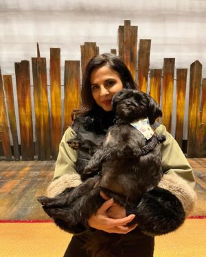 Azita Ghanizada Instagram - Who would have thought, a political refugee, who wanted to become an actor of all things, would end up gracing the boards on Broadway. 🎭

Goodbye to hands down the hardest, most rewarding, wonderful, exhausting,  heart building, heart tearing experience to date.  134 shows (5 missed)  living in the truth of each moment, whatever was there on the day. Undoing and becoming all at the same time.  Living with the most wonderful company and creatives filled with authenticity, grace, humor, talent.  I made a home here (🐾🐶 did too) on this stage with these people and will be forever grateful, forever changed.  Thank you to everyone who came to see us, especially my friends and family that made the trips into town, that level of love shared with me means more than I can ever say.
 

Dream the impossible dreams ya’ll. 

#debut #broadwaydebut #kiterunner #broadway #goodbye #happytrails ♥️🪁🫶🏽🥹🎭