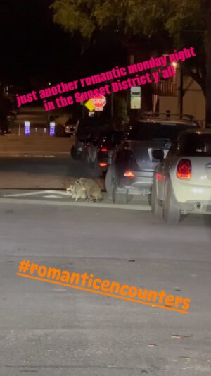 BD Wong Instagram - I know this is probably gonna make all you single folk at home alone tonight on a Monday night washing your hair feel bad. Sorry not sorry. Sound on for full romantic effect. I dare you to try to watch this and not touch yourself. What if Bradley Cooper in Guardians met Bruce Willis in Over The Hedge?