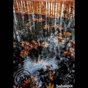 Babak Borzouyeh Instagram - .

زنگ باران به صدا می آید
آدم اینجا تنهاست
و در این تنهایی، سایه ی نارونی تا ابدیت  جاریست
به سراغ من اگر می آیید،
نرم و آهسته بیایید..
.
#سهراب_سپهری
#بابک_برزویه #عکاس_سینما_تئاتر
#مدیر آموزشگاه سینمایی #شیدنگار
#مدرس_عکاسی
#آموزش_عکاسی #آموزش_آنلاین #تور_عکاسی
#عکاسی_مستند_اجتماعی
#عکاسی_سینما
#عکاسی_تئاتر
#عکاسی_خبری
#عکاسی_میراث_فرهنگی
#عکاسی_صنعتی
#عکاسی_تبلیغاتی
#عکاسی_معماری

#babak_borzouyah #sheednegar
#photographer
#nationaliranianphotograoher 
#cinemaphotographer
#theaterphotography
#culturalheritagephotographer
#industrislphotographer
