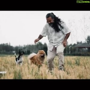 Babak Zarrin Top 100 Instagram Photos and Posts