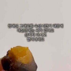Baek Bo-ram Instagram - 1일1매실:) 저는 매일 저녁에 먹어요
(이날은 촬영하느라 낮에 먹었다는 tmi)
오늘 허루 먹는 거 끝났다 할 때, 5-6년째 먹고 있어요
이유는! 장 활동이 활발하지 않아서(화장실 가기 어려움)
요거 저거 이거 뭐 다 찾아서 먹어보다 매실먹고 바로 정착했어요
화학성분이 없으니 안심하고 정착했습니다!
삶이 편햐졌어요 정말! 은근 변비고민 많더라구요 ~
같은 고민인 지인들께 공구하기 전부터 적극추첨 이였숩니다
그래서 공구할 결정도 했고요!

과식으로 소화가 잘 안될 때도 한 알씩 꺼내 드시는거 추천해요:)
매실 드신 후엔 꼬옥~ 미지근한 물 많이 드셔야 하구요
매실씨가 있으니 조심히 씹르시고 씨는 뱉어주셔야 합니다

첫 오픈때 엄청 고민했는데
벌써 3차 오픈! 이번엔 가격도 내렸어요
오늘부터 4일간 진행합니다💜

- 6월20일~23일
- 프로필링크