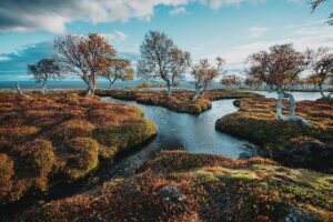 Bára Vávrová Instagram - Right now I wouldn’t mind to disappear in the colourful forest of Grøtådalen, sleep in a tent next to the lake Oasen or listen to the burning wood in the mossy cabin on the shores of Nedre Roasten. Autumn Femundsmarka is something else, always worth coming back to. 

#femundsmarka #fulufjället #gutulia #norge #sverige  #engerdal
