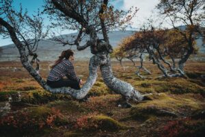 Bára Vávrová Instagram - Right now I wouldn’t mind to disappear in the colourful forest of Grøtådalen, sleep in a tent next to the lake Oasen or listen to the burning wood in the mossy cabin on the shores of Nedre Roasten. Autumn Femundsmarka is something else, always worth coming back to. 

#femundsmarka #fulufjället #gutulia #norge #sverige  #engerdal