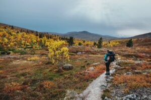 Bára Vávrová Instagram - Right now I wouldn’t mind to disappear in the colourful forest of Grøtådalen, sleep in a tent next to the lake Oasen or listen to the burning wood in the mossy cabin on the shores of Nedre Roasten. Autumn Femundsmarka is something else, always worth coming back to. 

#femundsmarka #fulufjället #gutulia #norge #sverige  #engerdal
