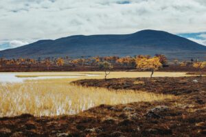 Bára Vávrová Instagram - Right now I wouldn’t mind to disappear in the colourful forest of Grøtådalen, sleep in a tent next to the lake Oasen or listen to the burning wood in the mossy cabin on the shores of Nedre Roasten. Autumn Femundsmarka is something else, always worth coming back to. 

#femundsmarka #fulufjället #gutulia #norge #sverige  #engerdal