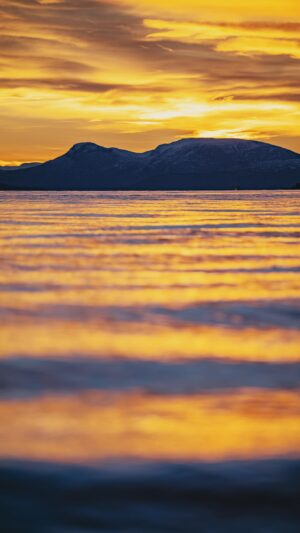 Bára Vávrová Instagram - Arctic nature in the middle of the polar night. 

#mørketid #fargetid #liveterbestute #utpåtur #arctic #nature #tromsø #troms #norge