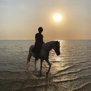 Baraa Alem Instagram - اليوم تعرّفت على "قسورة" ومشينا في البحر الأحمر. 

Today I met “Qaswara” and we walked on the redsea. I think I like him .. 

📷 by @kartooosh