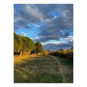 Barbara Cabrita Instagram - Beauté d’automne 🍂🌳🌿🍁🌾
#naturephotography #nofilter #catalonia