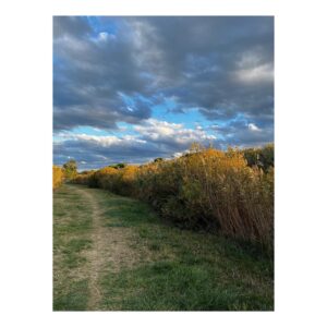 Barbara Cabrita Instagram - Beauté d’automne 🍂🌳🌿🍁🌾
#naturephotography #nofilter #catalonia