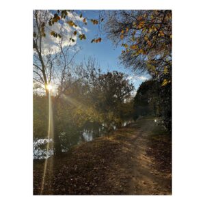 Barbara Cabrita Instagram - Beauté d’automne 🍂🌳🌿🍁🌾
#naturephotography #nofilter #catalonia