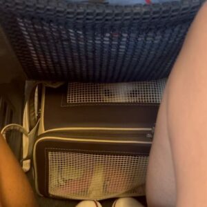 Bárbara Sut Instagram - Primeira postagem do ano com o primeiro dia dessa viagem incrivel que comecei com minha mãe e Greta pelo nordeste! Primeira parada: João Pessoa! Estamos planejando esse momento há muito tempo e viver isso está sendo muito especial! Ja começo o ano devendo todo o mes de janeiro (que foi legal a beça mas não postei nada) e o vloguinho da viagem de avião com a Greta, que foi demais! Ela tem um espirito aventureiro que me surpreendeu! Estamos prontas pra rodar o mundo juntas! 🛫🙌🏽🥰🩵
.
#sutsontheroad #gretidão #gretaaventureira #paraiba #joãopessoa #travel #trip #dogtrip #cachorrosfofos #nordestebrasileiro #familia