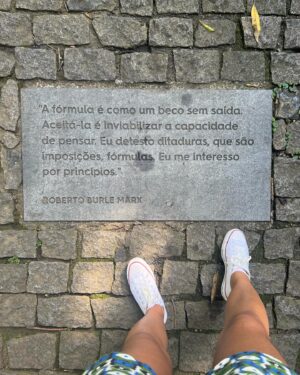 Bárbara Sut Instagram - Brotando & florescendo & procurando o sol & criando raízes 🌱
.
#sitioburlemarx #burlemarx #sitiorobertoburlemarx #robertoburlemarx #nature #natureza #riodejaneiro #barradeguaratiba #unesco #patrimoniodahumanidade #passeio #feliz #energialinda #amigos #carioca #jardim #paisagismo