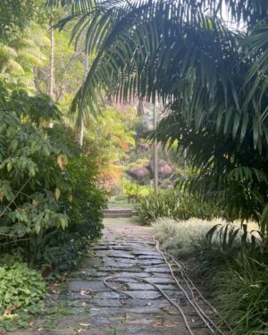 Bárbara Sut Instagram - Brotando & florescendo & procurando o sol & criando raízes 🌱
.
#sitioburlemarx #burlemarx #sitiorobertoburlemarx #robertoburlemarx #nature #natureza #riodejaneiro #barradeguaratiba #unesco #patrimoniodahumanidade #passeio #feliz #energialinda #amigos #carioca #jardim #paisagismo