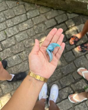 Bárbara Sut Instagram - Brotando & florescendo & procurando o sol & criando raízes 🌱
.
#sitioburlemarx #burlemarx #sitiorobertoburlemarx #robertoburlemarx #nature #natureza #riodejaneiro #barradeguaratiba #unesco #patrimoniodahumanidade #passeio #feliz #energialinda #amigos #carioca #jardim #paisagismo