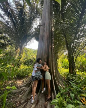 Bárbara Sut Instagram - Brotando & florescendo & procurando o sol & criando raízes 🌱
.
#sitioburlemarx #burlemarx #sitiorobertoburlemarx #robertoburlemarx #nature #natureza #riodejaneiro #barradeguaratiba #unesco #patrimoniodahumanidade #passeio #feliz #energialinda #amigos #carioca #jardim #paisagismo