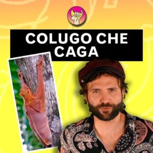 Barbascura X Instagram - Seguite la nostra redazione @labananadinewton per altre notizie bizzarre sulla natura.
Oggi c'è il nostro direttore @barbascura_x per raccontarci di come caga Gennarino, il colugo della Sonda!

#labananadinewton #biologia #natura #animali