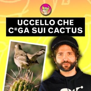 Barbascura X Instagram - @barbascura_x , un cactus e un uccello che ci caga sopra.
Buona domenica a tutti

Seguite la nostra redazione @labananadinewton per altre notizie orribili sulla natura

#labananadinewton #uccelli #cactus #natura