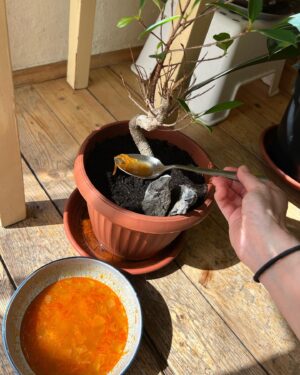 Barbora Černá Instagram - This story is about zelňačka. The best soup in the world... #zelňačka #kojetickáklobása #love (a nej miska je od @atkaticha !)