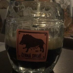 Barbora Černá Instagram - Tereza Víznerová v Hořkým světě od 31.8. každou středu na Primě!🍺 Con Maestro.. and her other adventures. 
Děkuju!!

#martinkopp 🎥