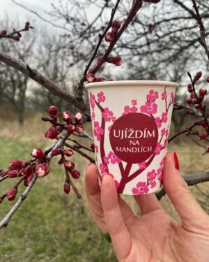 Barbora Seidlová Instagram - Utopit se v té něze… 🤍 
nebo se jí alespoň nadýchat… nechat se jí obejmout… nebo se na ni pořádně vynadívat a obtisknout si ji do paměti … anebo si ji alespoň trochu odnést domů… ale to jen v případě, že se zrovna střihaly větve, leží poházené všude kolem a přesto kvetou… protože je jaro!… Anebo se té vůně napít! A to je úplně reálné! Pamatuji doby kdy se v mandloňovém sadu u Hustopečí procházelo jen pár místních… Dnes je tam parkoviště a po cestě k sadu i u rozhledny narazíte na stánek @mandlarna kde si můžete dát mandlové úplně všechno… proč ne! (A pozor! Když na silnici potkáte auto téhle výrobny mandlových likérů, na zadním skle uvidíte nápis “zastavte nás, dáme vám vzorek”… a telefoní číslo… a opravdu to funguje! Stane se potom, že uprostřed městského provozu, v rychlosti,  na červené stáhne paní okýnko a podává vám vzorek tekutých mandlí… a vy máte radost tak ji v tom okýnku auta dáte pusu na tvář, protože nic jiného nemáte… a z té nevšední maličkosti vám rozkvete den i kdyby jaro nebylo!)