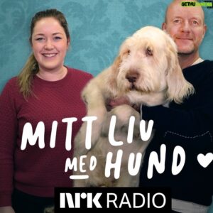 Bård Tufte Johansen Instagram - Nå har jeg gjort nok podcaster, tenkte jeg, helt til noen spurte om jeg ville snakke om hunden min. Å få hundeeiere til å snakke hund er like enkelt som å få nybakte mødre til å snakke fødsel.  #podcast #italienskspinone