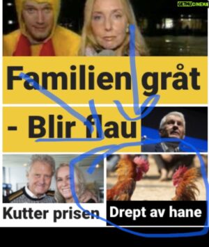 Bård Tufte Johansen Instagram - Litt gøy hanenyhet i dag.  De hanene finner på mye rart.