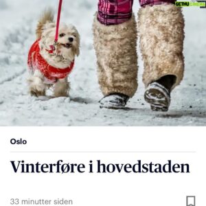 Bård Tufte Johansen Instagram - Hadde jeg vært den bikkja hadde jeg gått pent i bånd.