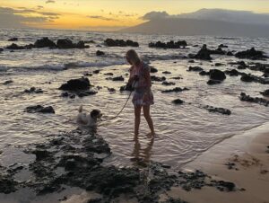 Barret Swatek Instagram - Our hearts are broken for Maui and the beautiful souls who inhabit this majestic place we are blessed to call home. If you’ve ever spent anytime here, you know how truly special and unique Maui is and how much the island gives to you and feeds you. There is a link in my bio to give back. Hawaii Community Foundation. Aloha ♥️ #MauiStrong 🌺 🌈 🌊
